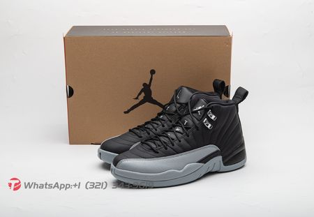 Air Jordan 12 Retro Barons CT8013-010 Size 40-47.5